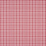 Popelín Camisería Cuadros Boston - Ribes y Casals