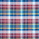 Popelín Camisería Cuadros Seattle - Ribes y Casals