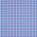 Popelín Camisería Cuadros Carson - Ribes y Casals