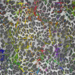 Rejilla Elástica Leopardo Laminado Gris - Ribes y Casals