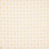 Popelín Algodón Polaris Crudo - Ribes y Casals