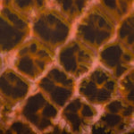 Satén de Viscosa Tie-Dye Fuego - Ribes y Casals