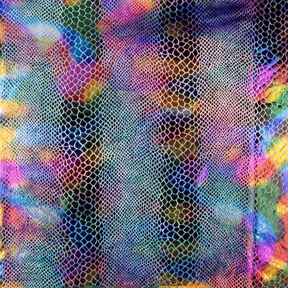 Lycra Serpiente Lámina Multicolor - Ribes y Casals