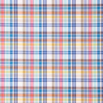 Popelín Camisería Cuadros Oban - Ribes y Casals