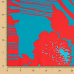 Satén Estampado Bicolor Maxi - Ribes y Casals