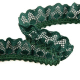 Tira de Puntilla Verde Botella 22 mm - Ribes y Casals