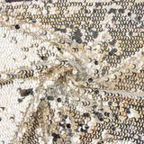 Tul Blanco con Lentejuelas Plata y Crema - Ribes y Casals