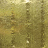 Velvet Spandex Lizard Dorado - Ribes y Casals