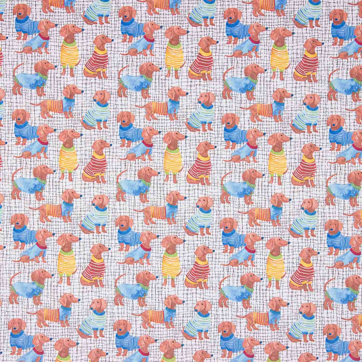 Resinado Water Repelent Perros Salchicha - Ribes y Casals