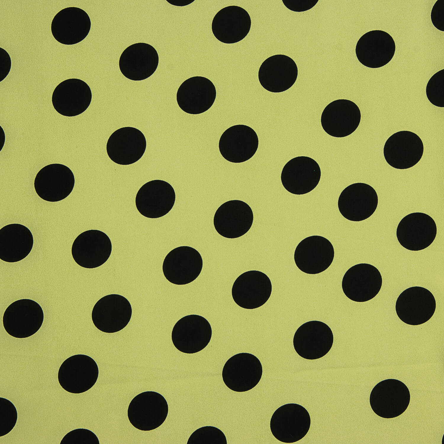 Koshibo Lunares 33 mm Verde / Negro - Ribes y Casals