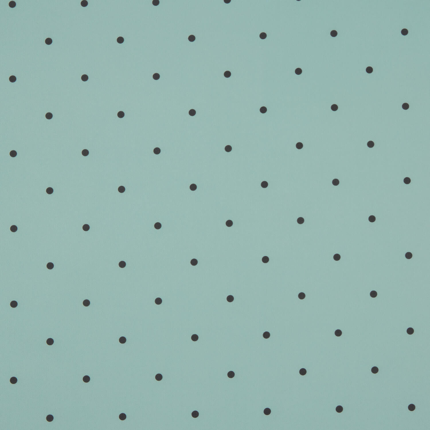 Polytecno Elástico Lunar Negro Fondo Azul Báltico - Ribes y Casals