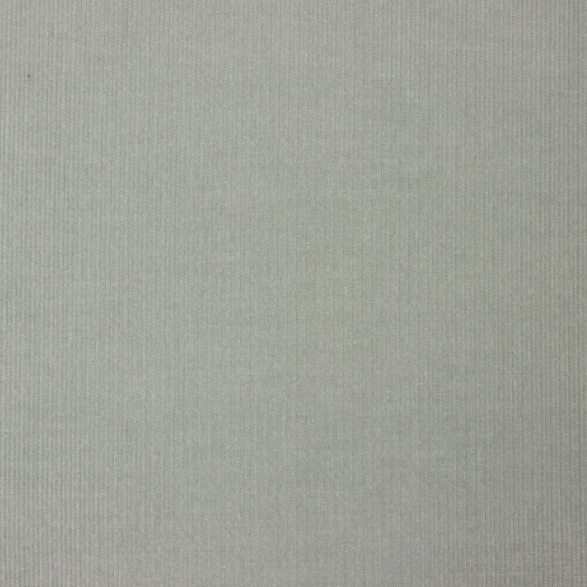 Micropana Algodón Verde Suave - Ribes y Casals