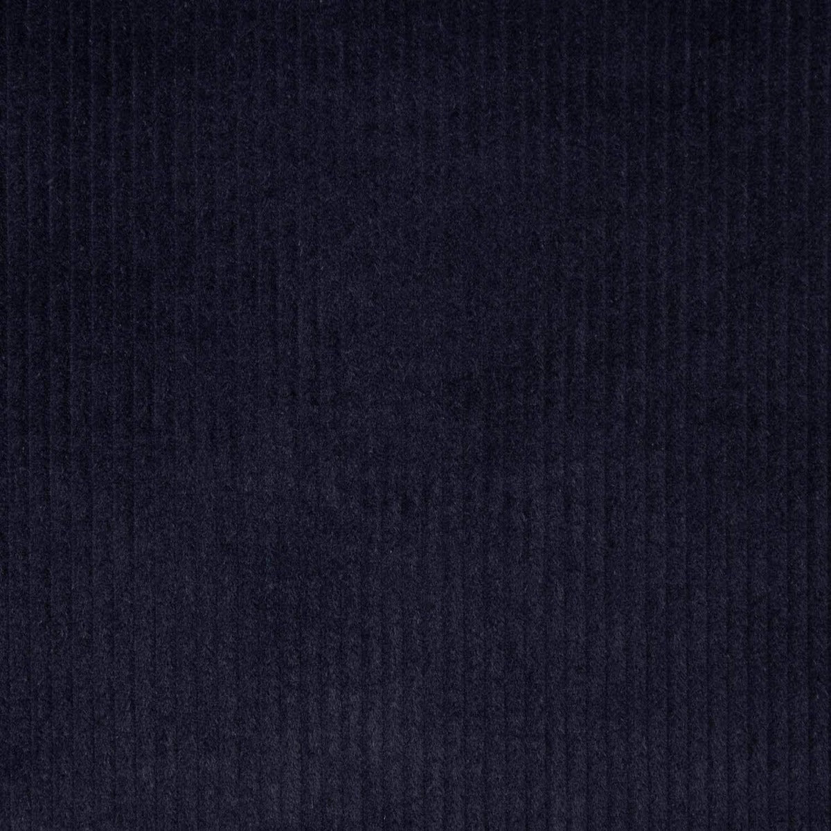 Pana Algodón Marino - Ribes y Casals