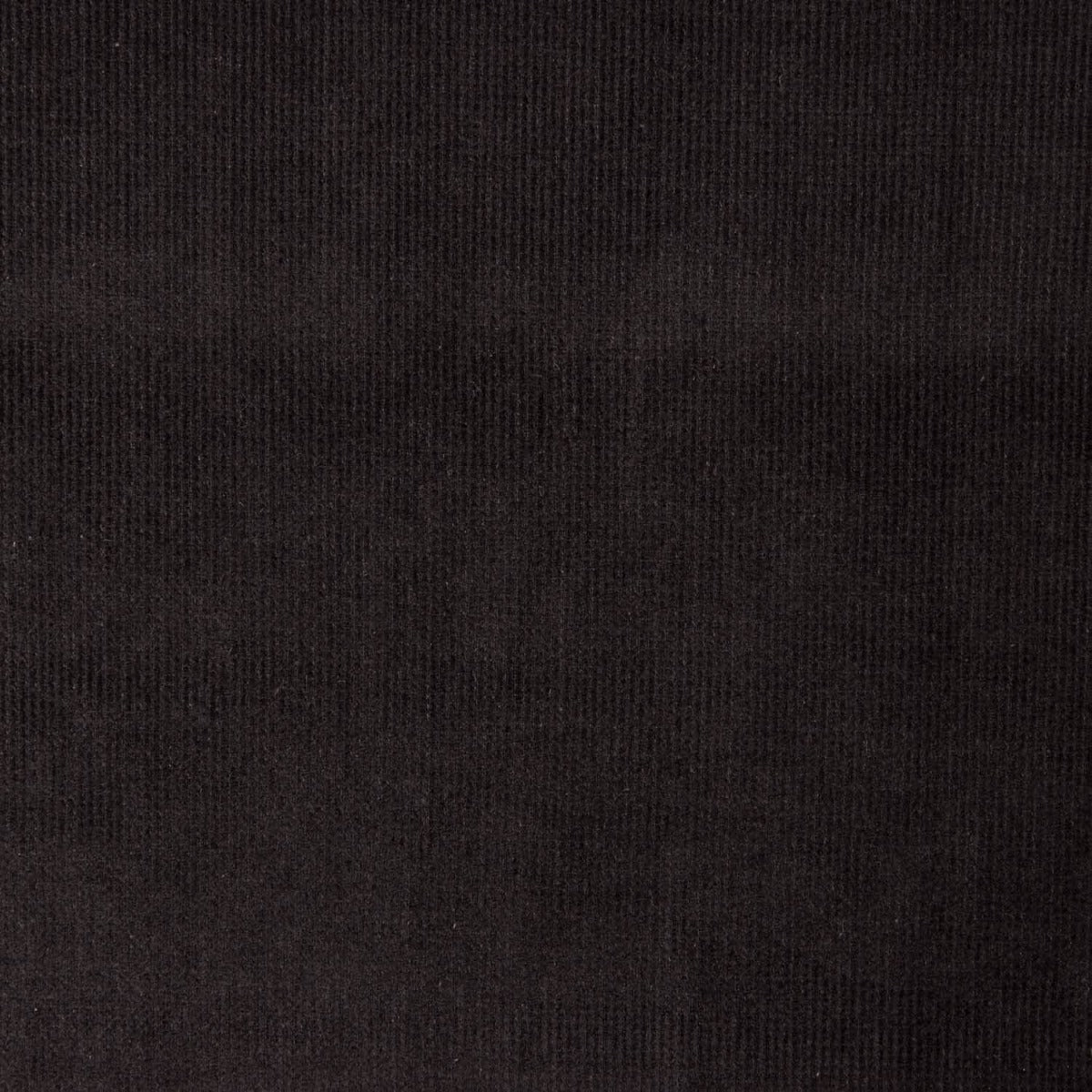 Micropana Elástica Negra - Ribes y Casals