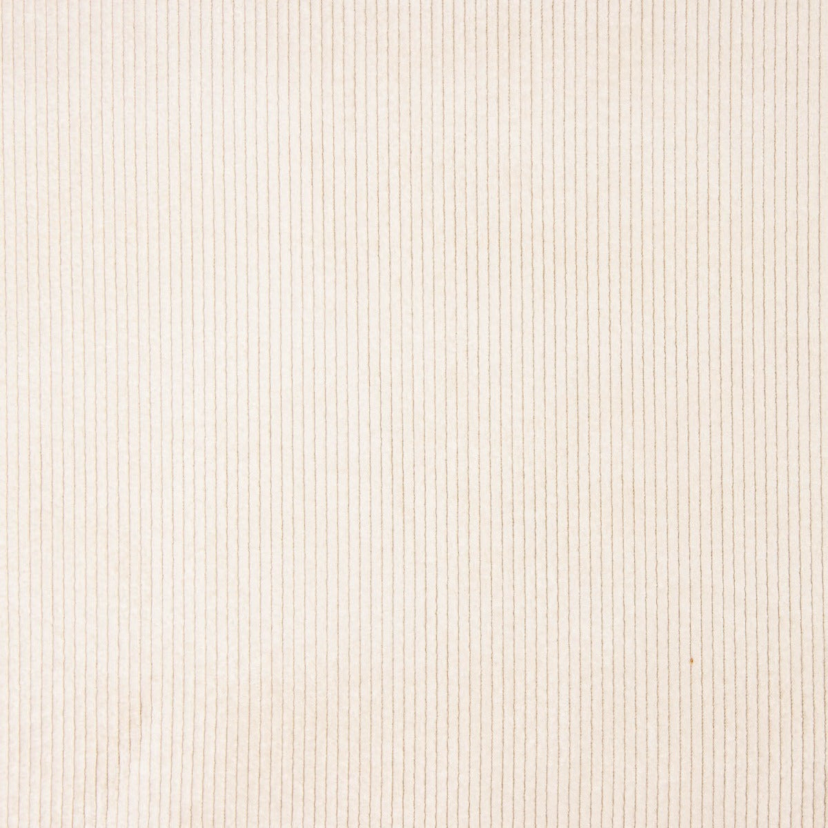 Pana Cordelé Efecto Lavado Crudo - Ribes y Casals