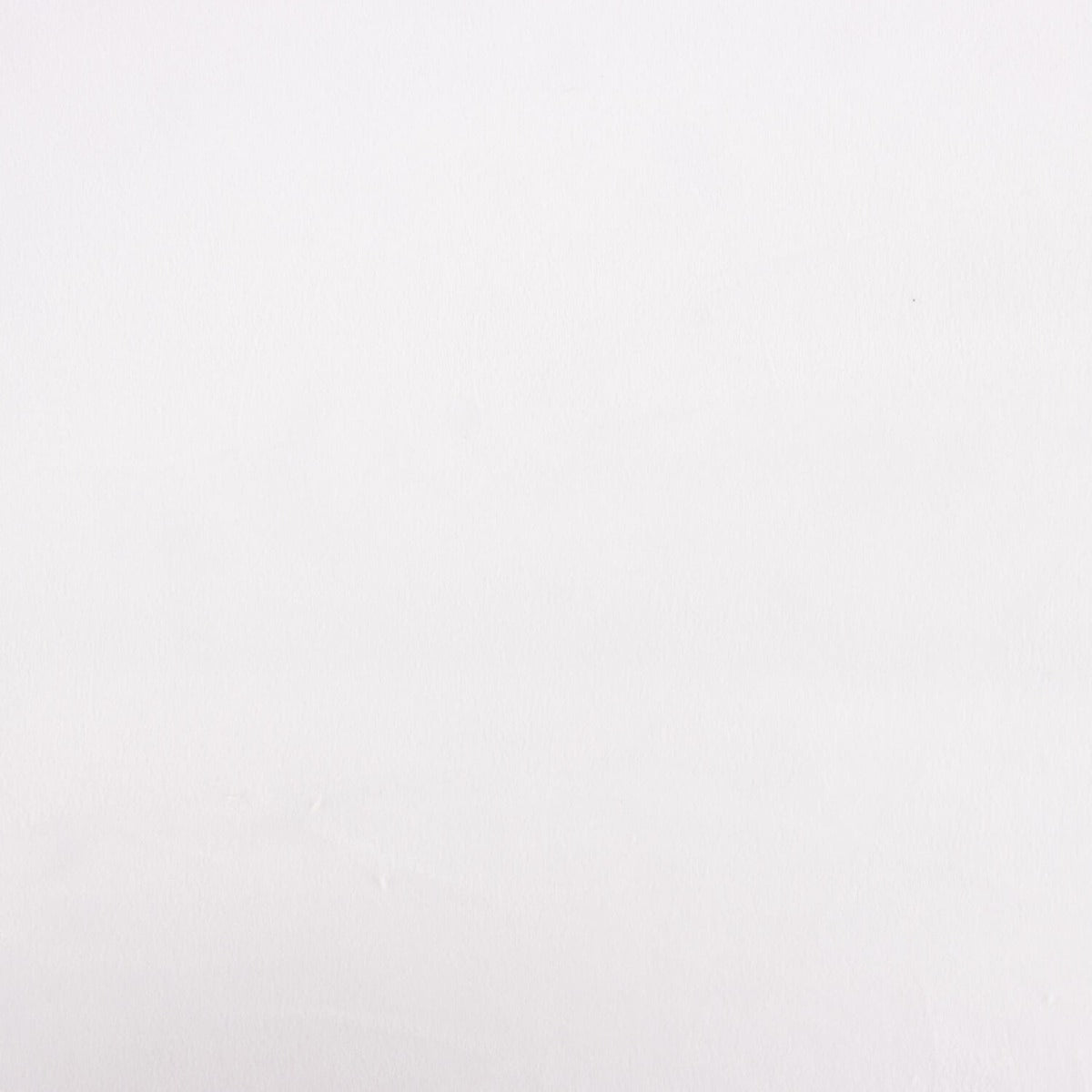 Punto de Terciopelo Bielástico Blanco - Ribes y Casals