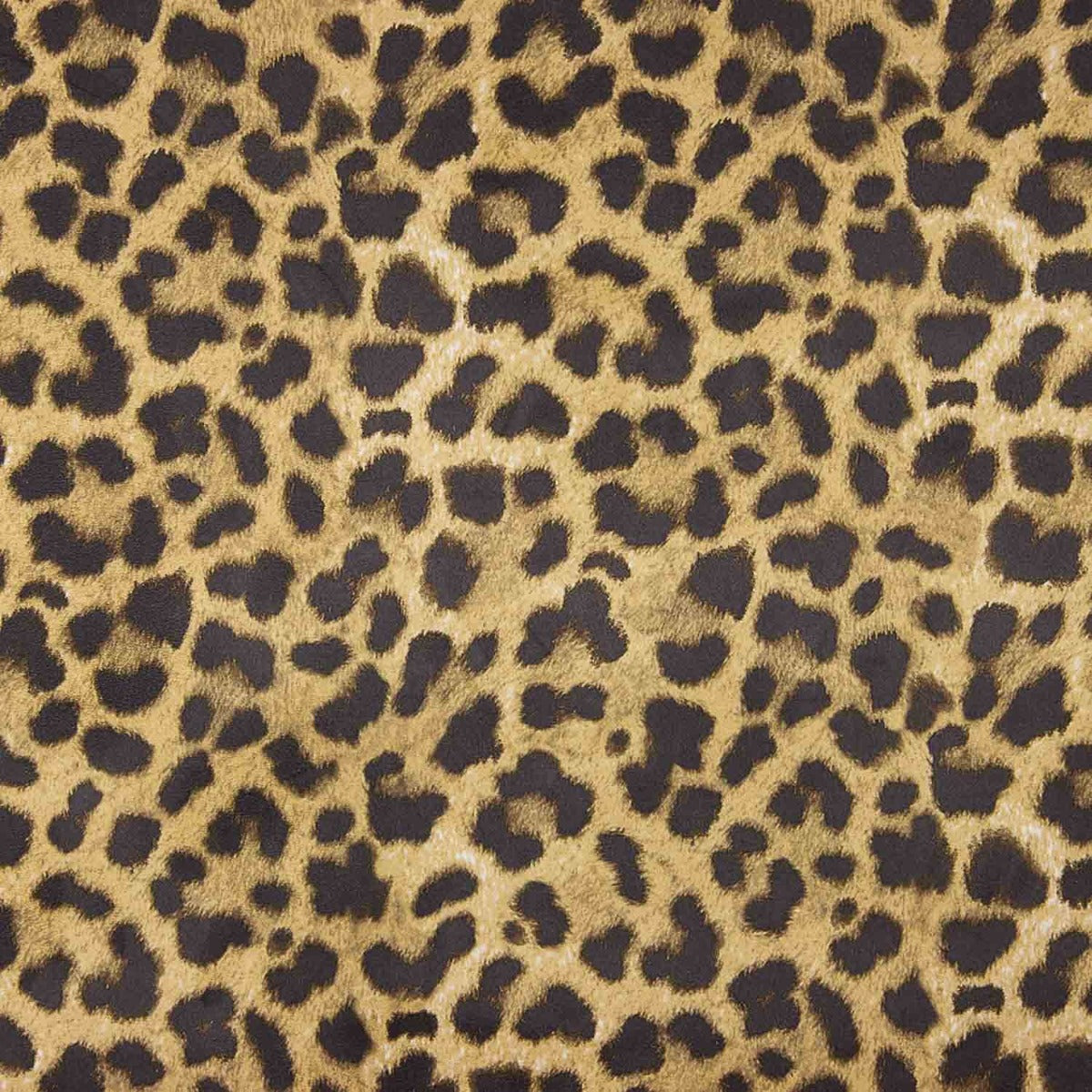 Punto Neopreno Leopard Stretch - Ribes y Casals