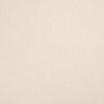 Punto Neopreno Ante Blanco Natural - Ribes y Casals