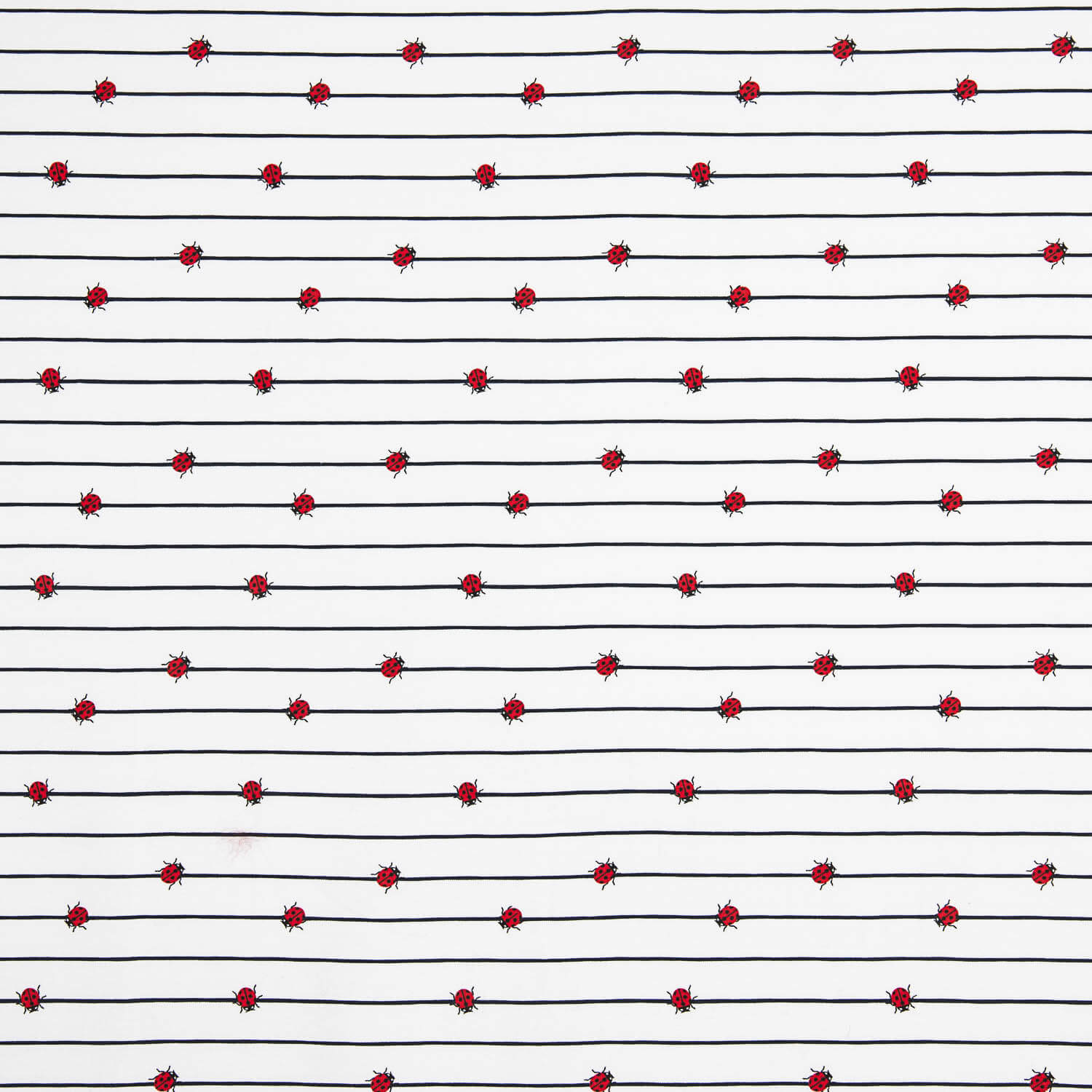 Punto Algodón Ladybug Marino - Ribes y Casals