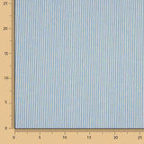 Vaquero Rayas Azul Claro y Blanco - Ribes y Casals