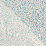 Tul de Araña con Lentejuelas Blanco - Ribes y Casals