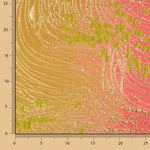 Jacquard Fantasía Vórtice Fucsia y Lima - Ribes y Casals