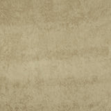 Terciopelo Tapicería Antiarañazos Persa Beige - Ribes y Casals