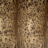 Pelo Largo Estampado Leopardo Savanna - Ribes y Casals