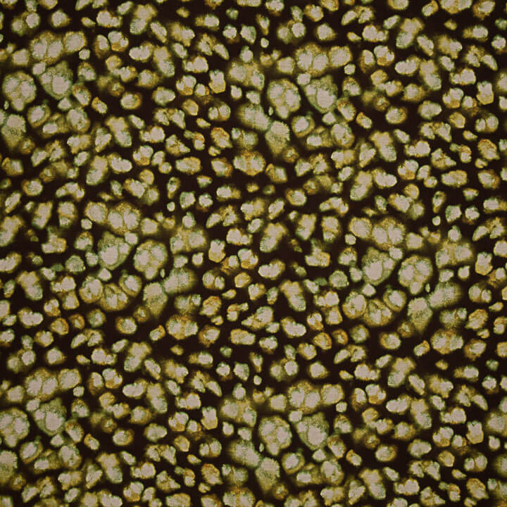 Viscosa Estampada Doble Cara Mosaico Oliva - Ribes y Casals