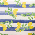 Resinada Antimanchas Limones Rayas Azules - Ribes y Casals