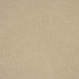 Canvas Lavado Beige - Ribes y Casals