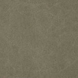 Canvas Lavado Verde Militar - Ribes y Casals