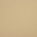 Crepé Liso Beige - Ribes y Casals