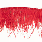 Fleco de Plumas Plus Rojo - Ribes y Casals