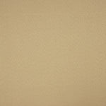 Fama Stretch Camel - Ribes y Casals