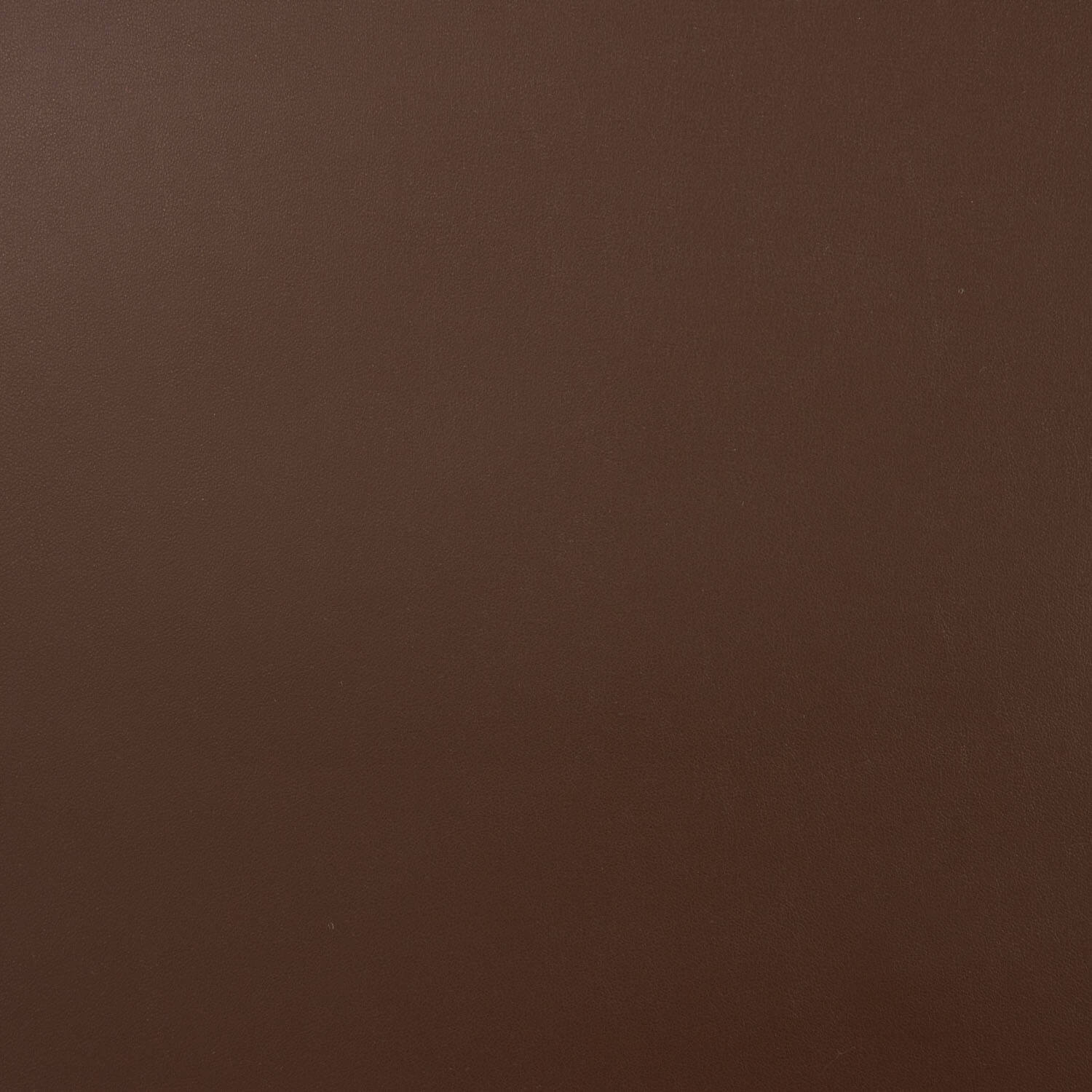 Polipiel Elástica Marrón - Ribes y Casals