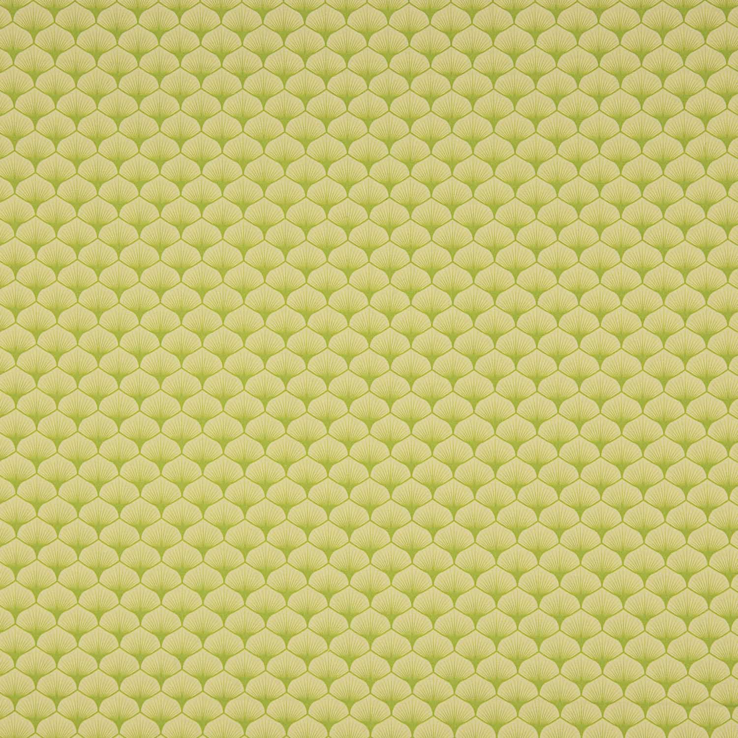 Popelín Algodón Estampado Abanicos Verde - Ribes y Casals