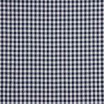 Cuadros Vichy Basic Azul Marino Mediano 6 mm - Ribes y Casals