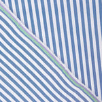 Raya Vichy Azul Maxi - Ribes y Casals