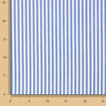 Raya Vichy Azul Maxi - Ribes y Casals