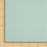 Rayas Verde Mini 2mm - Ribes y Casals