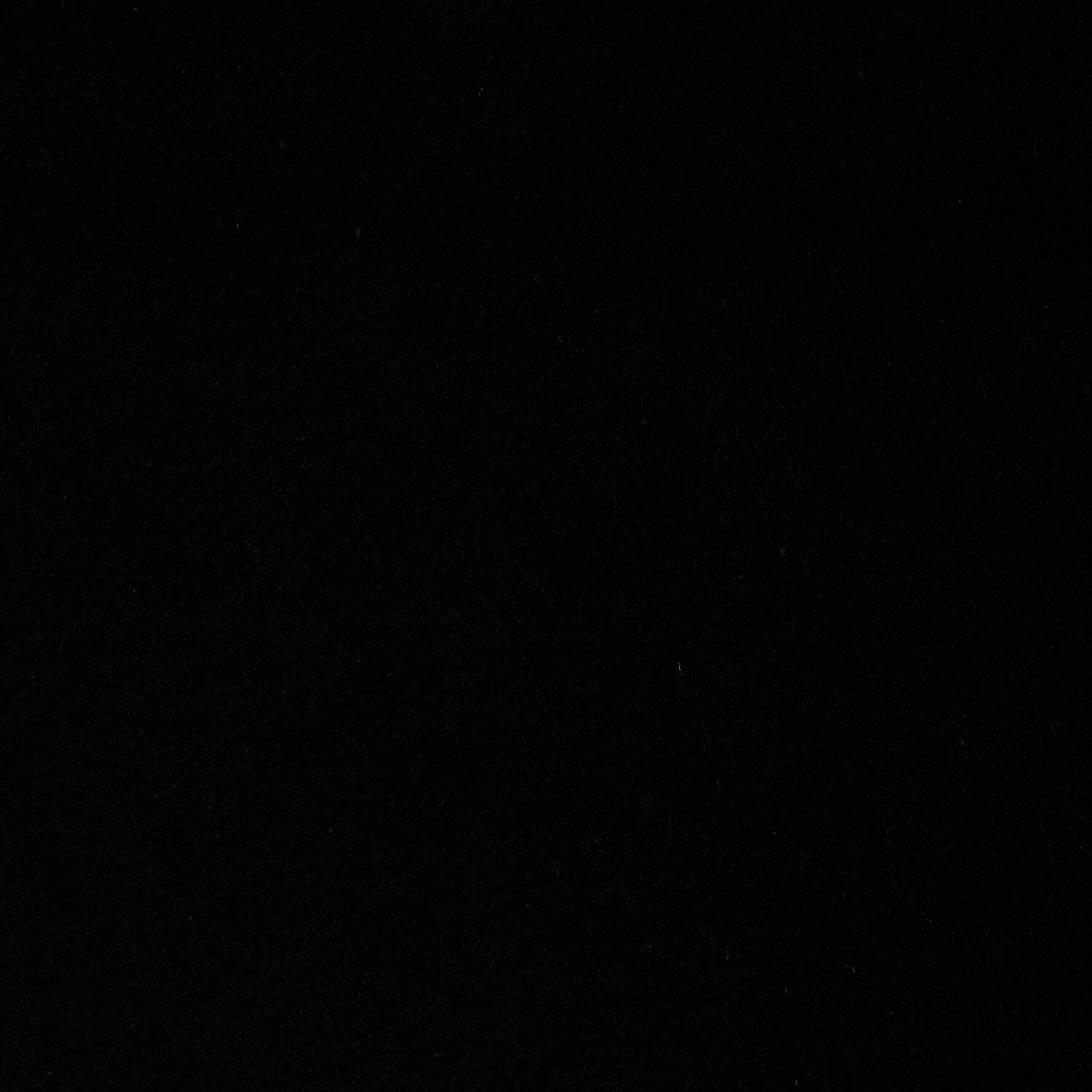 Terciopelo de Algodón Negro - Ribes y Casals