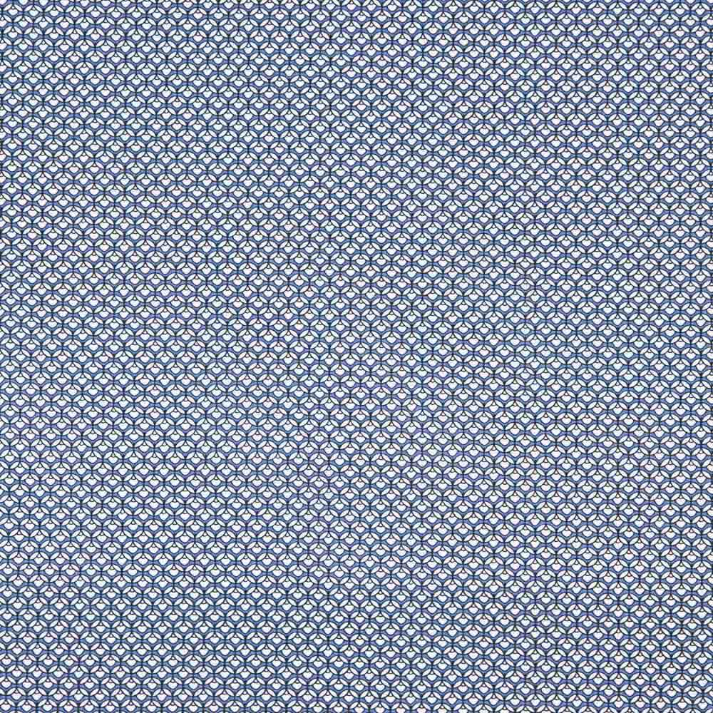 Popelín Algodón Supima Print 12 - Ribes y Casals