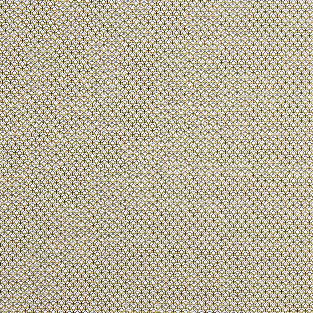 Popelín Algodón Supima Print 21 - Ribes y Casals