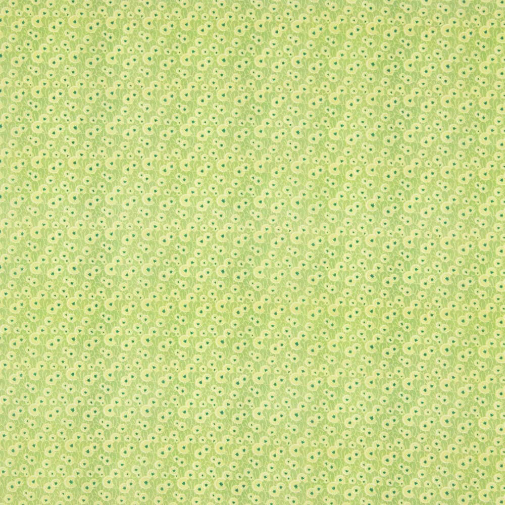 Popelín Algodón Supima Print 09 - Ribes y Casals