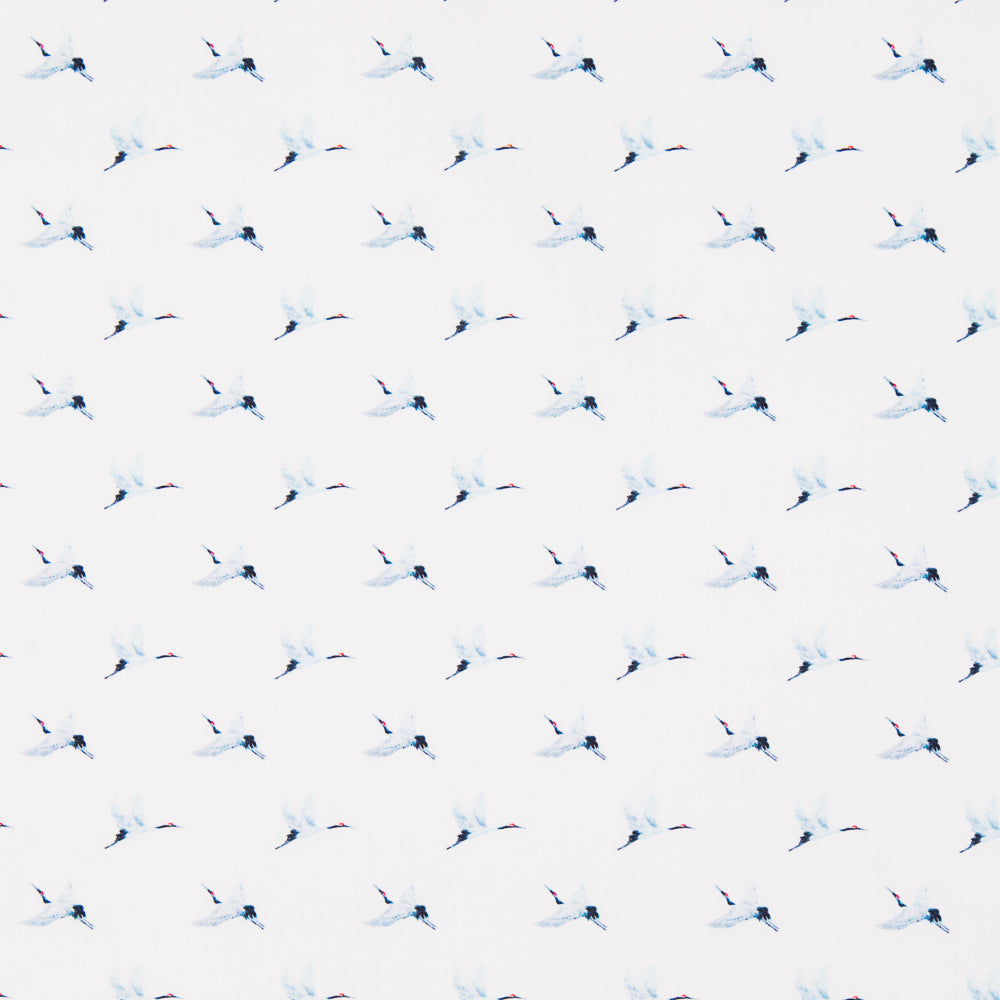 Algodón Antibacteriano Aves - Ribes y Casals