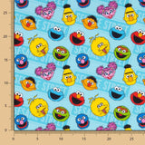 Algodón Sesame Street - Ribes y Casals