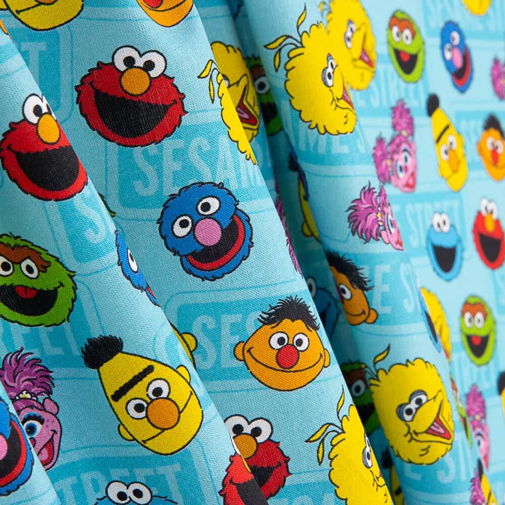 Algodón Sesame Street - Ribes y Casals