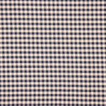 Algodón Rústico Cuadros Azul - Ribes y Casals