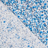 Algodón Flor Azules - Ribes y Casals